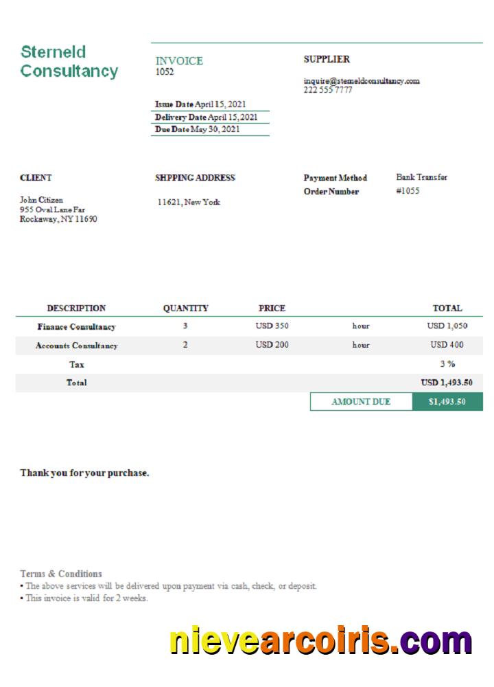 USA Sterneld Consultancy invoice